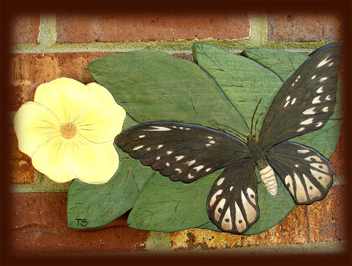 birdwing tanja sova pyrography